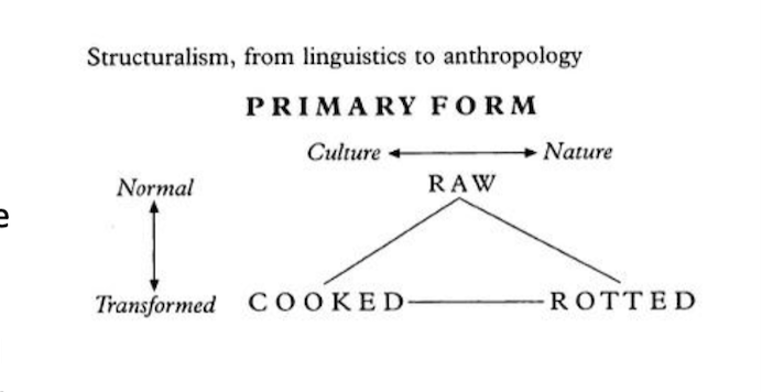 Structuralism, from linguistics to anthropology: Lévi-Strauss’s raw, cooked and rotted categories, reproduced from Nina’s source essay.
